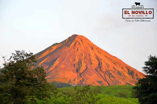 El Novillo del Arenal